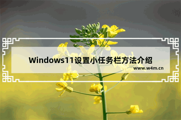 Windows11设置小任务栏方法介绍