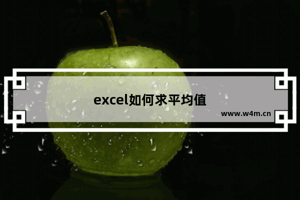 excel如何求平均值