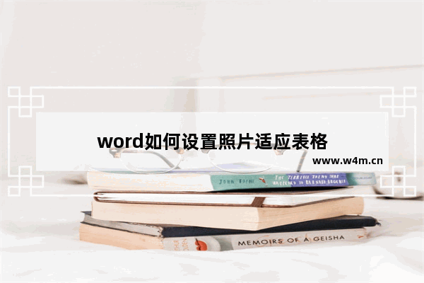 word如何设置照片适应表格