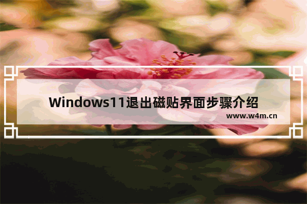 Windows11退出磁贴界面步骤介绍