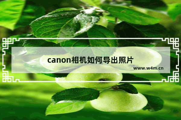 canon相机如何导出照片