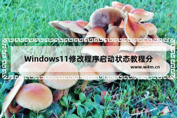 Windows11修改程序启动状态教程分享