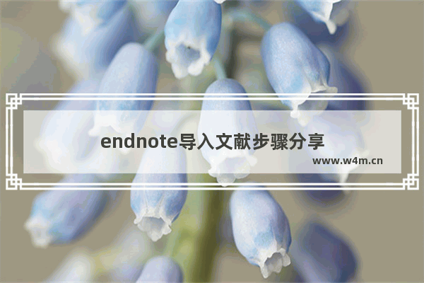 endnote导入文献步骤分享