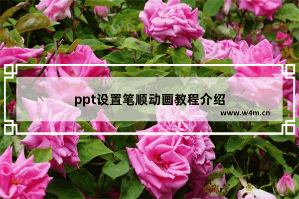 ppt设置笔顺动画教程介绍