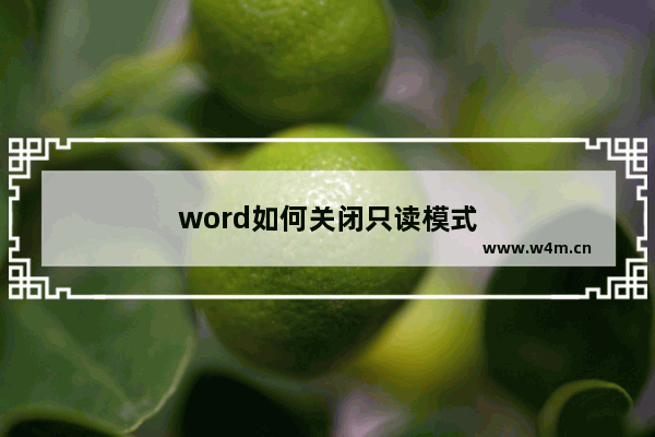 word如何关闭只读模式