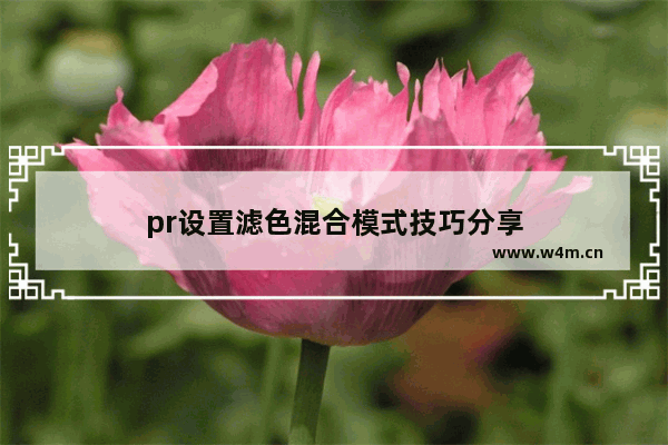 pr设置滤色混合模式技巧分享