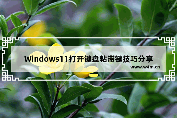 Windows11打开键盘粘滞键技巧分享