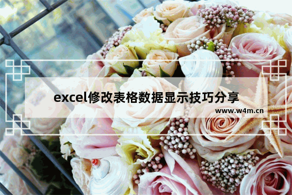 excel修改表格数据显示技巧分享