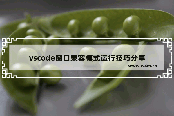 vscode窗口兼容模式运行技巧分享