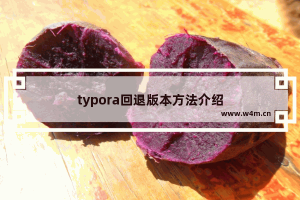 typora回退版本方法介绍