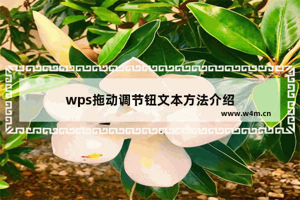 wps拖动调节钮文本方法介绍