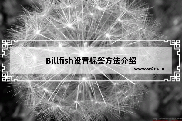 Billfish设置标签方法介绍