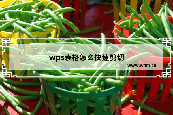 wps表格怎么快速剪切