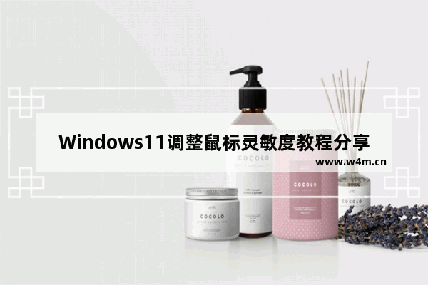 Windows11调整鼠标灵敏度教程分享