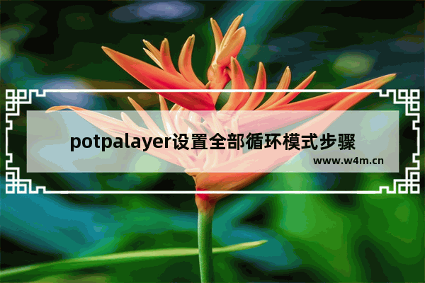 potpalayer设置全部循环模式步骤介绍