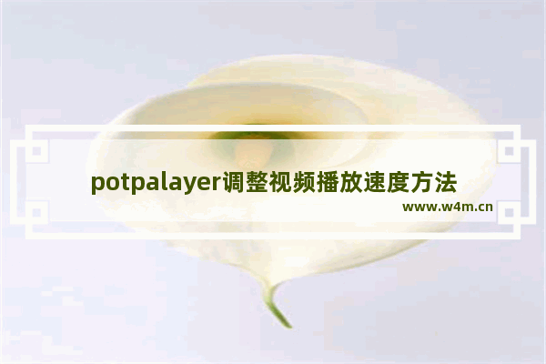 potpalayer调整视频播放速度方法介绍