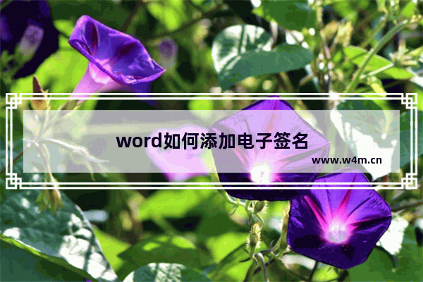 word如何添加电子签名