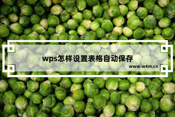 wps怎样设置表格自动保存