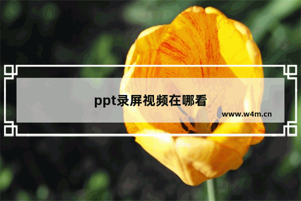 ppt录屏视频在哪看