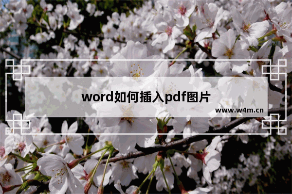 word如何插入pdf图片