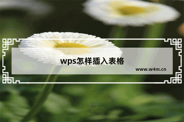 wps怎样插入表格