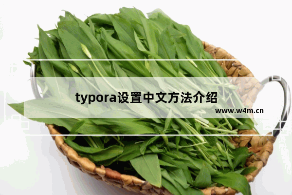 typora设置中文方法介绍