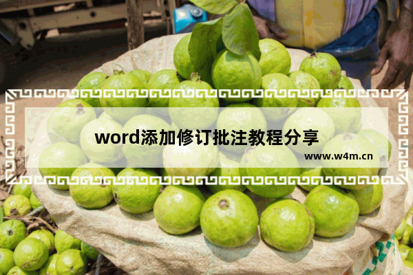 word添加修订批注教程分享