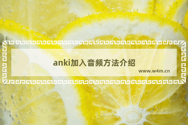 anki加入音频方法介绍