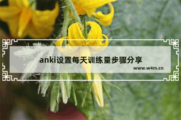 anki设置每天训练量步骤分享