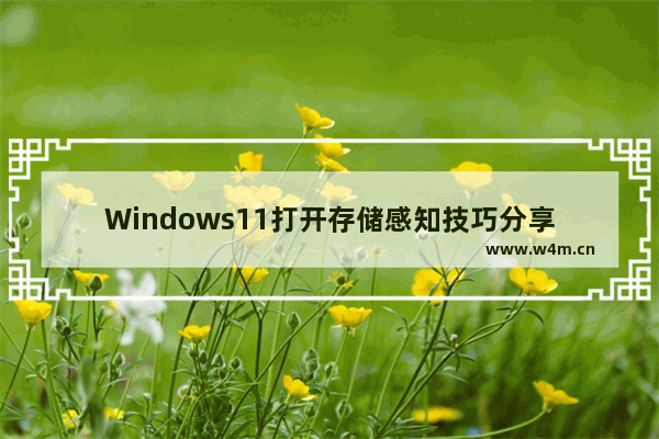 Windows11打开存储感知技巧分享