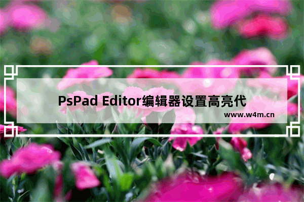 PsPad Editor编辑器设置高亮代码教程分享