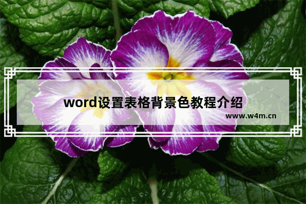 word设置表格背景色教程介绍