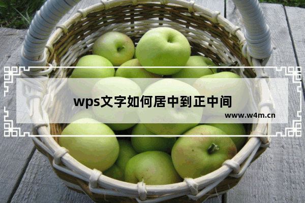 wps文字如何居中到正中间