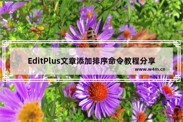 EditPlus文章添加排序命令教程分享