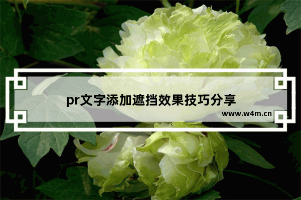 pr文字添加遮挡效果技巧分享