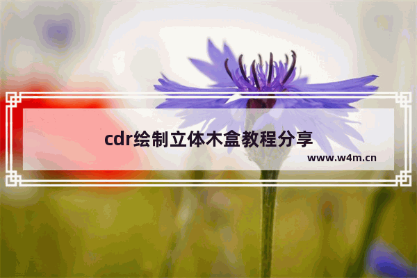 cdr绘制立体木盒教程分享