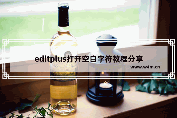 editplus打开空白字符教程分享