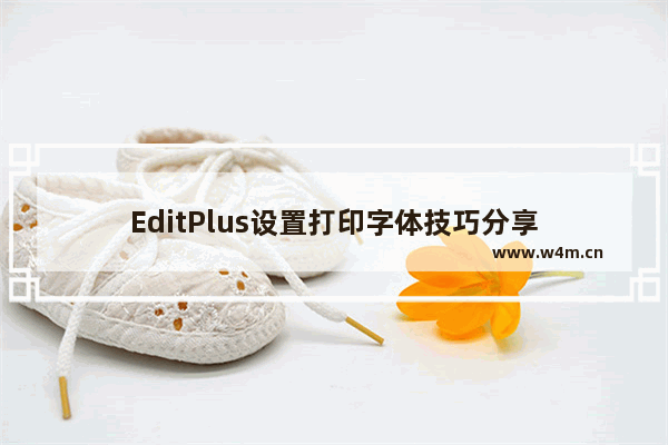 EditPlus设置打印字体技巧分享