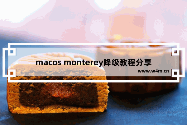 macos monterey降级教程分享