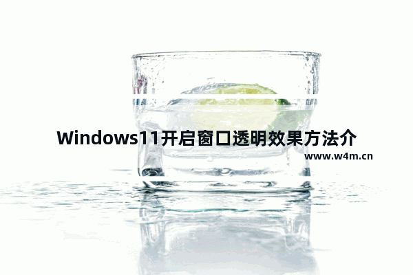 Windows11开启窗口透明效果方法介绍