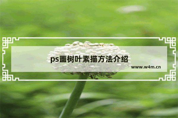 ps画树叶素描方法介绍