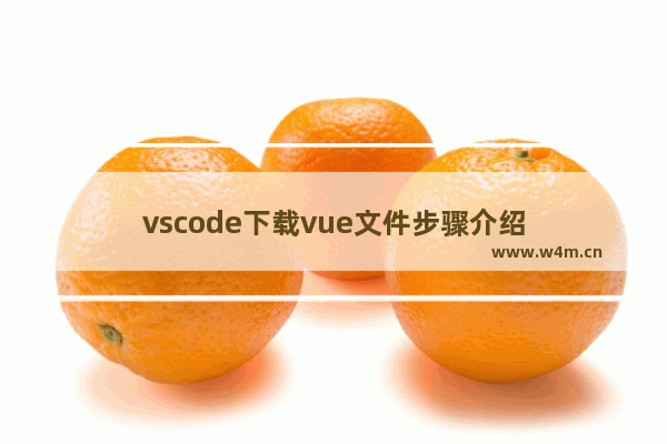 vscode下载vue文件步骤介绍