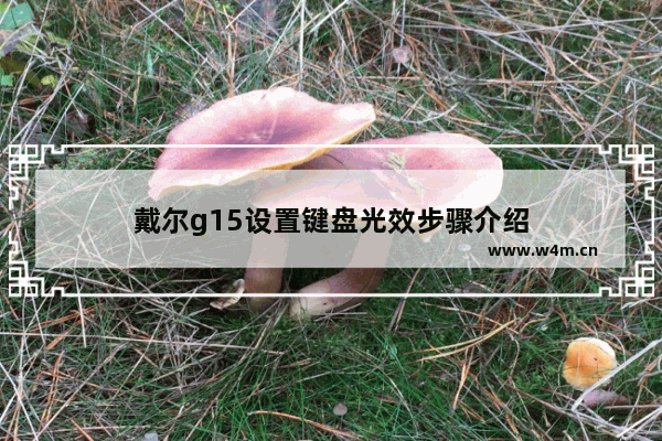 戴尔g15设置键盘光效步骤介绍