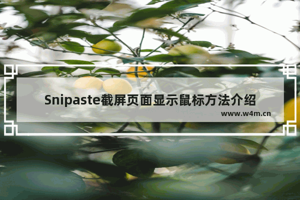 Snipaste截屏页面显示鼠标方法介绍