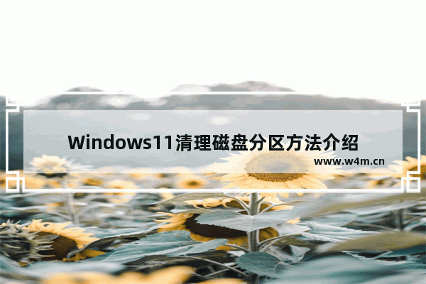 Windows11清理磁盘分区方法介绍