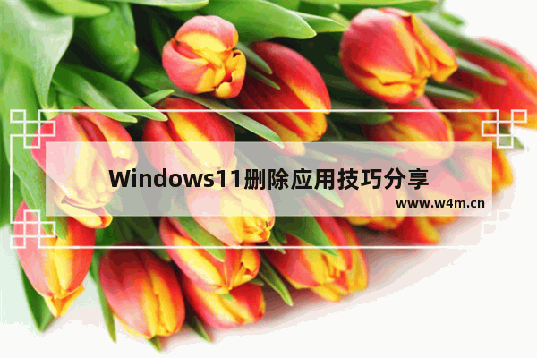 Windows11删除应用技巧分享