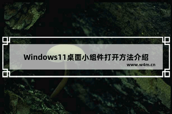 Windows11桌面小组件打开方法介绍