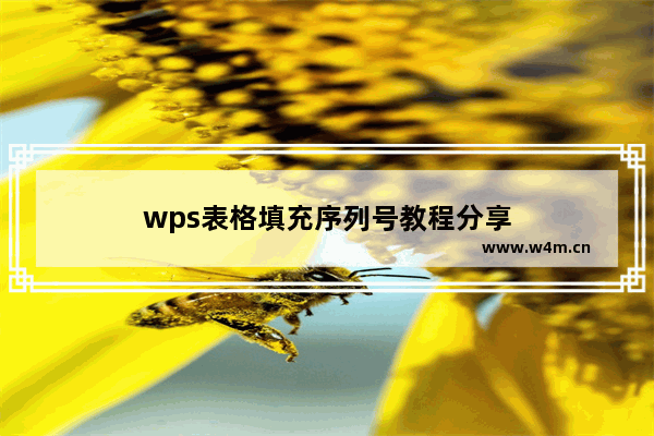 wps表格填充序列号教程分享