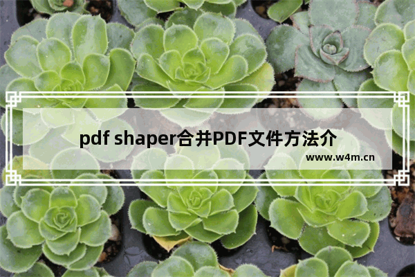 pdf shaper合并PDF文件方法介绍