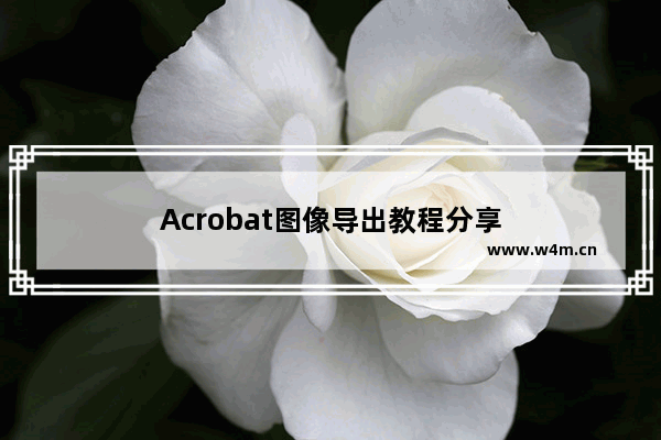 Acrobat图像导出教程分享